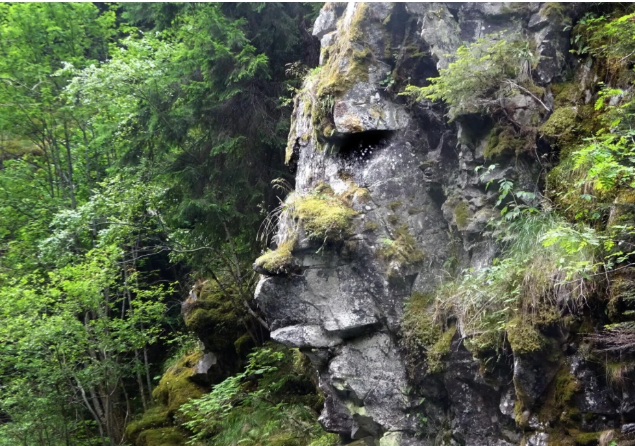 Природният страж: Скалният лъв на Радуил